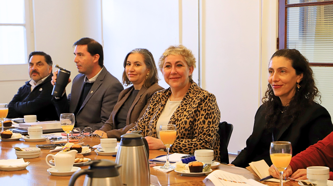 Consejo Externo Innovación UGM